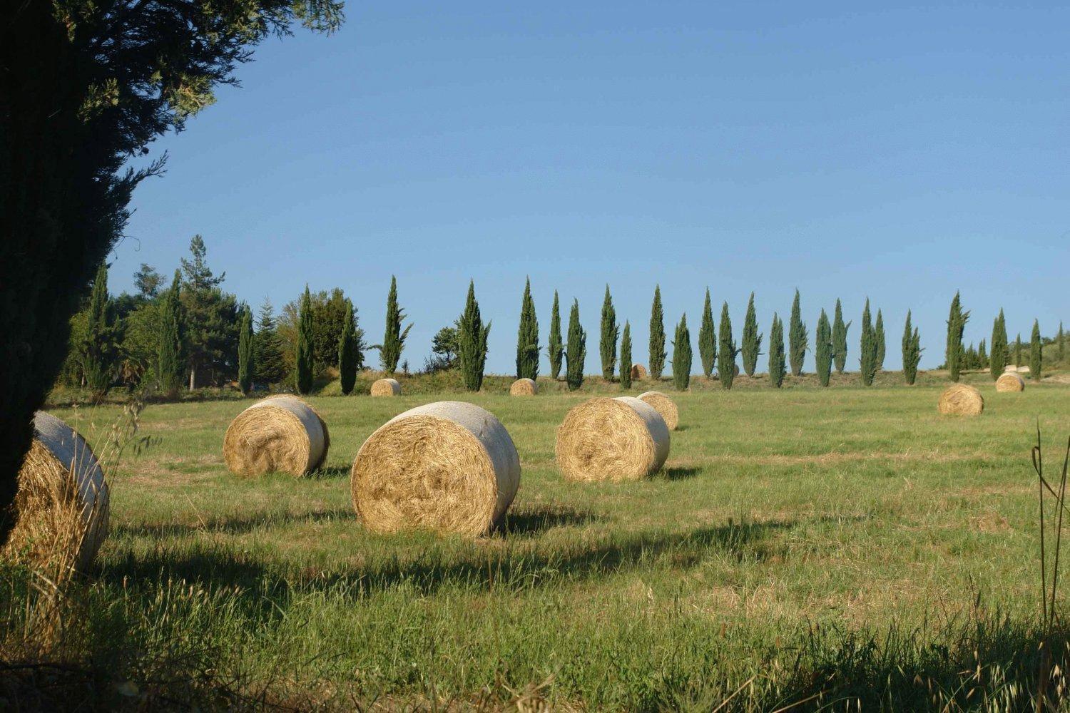 Tenuta Il Tresto Poggibonsi Exterior photo