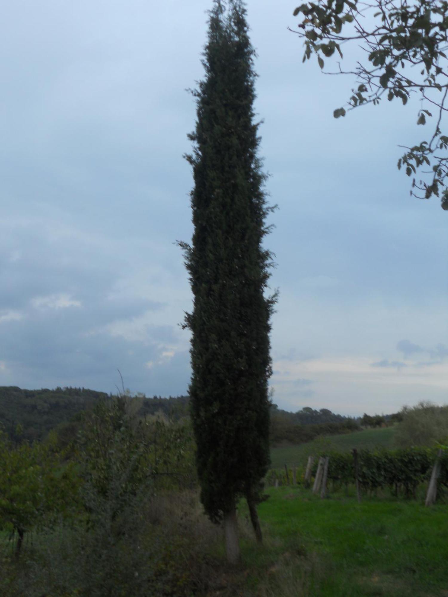Tenuta Il Tresto Poggibonsi Exterior photo