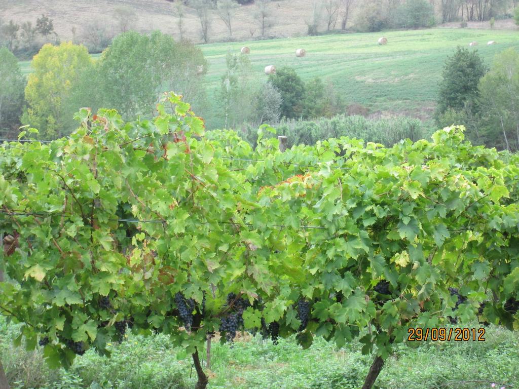 Tenuta Il Tresto Poggibonsi Exterior photo