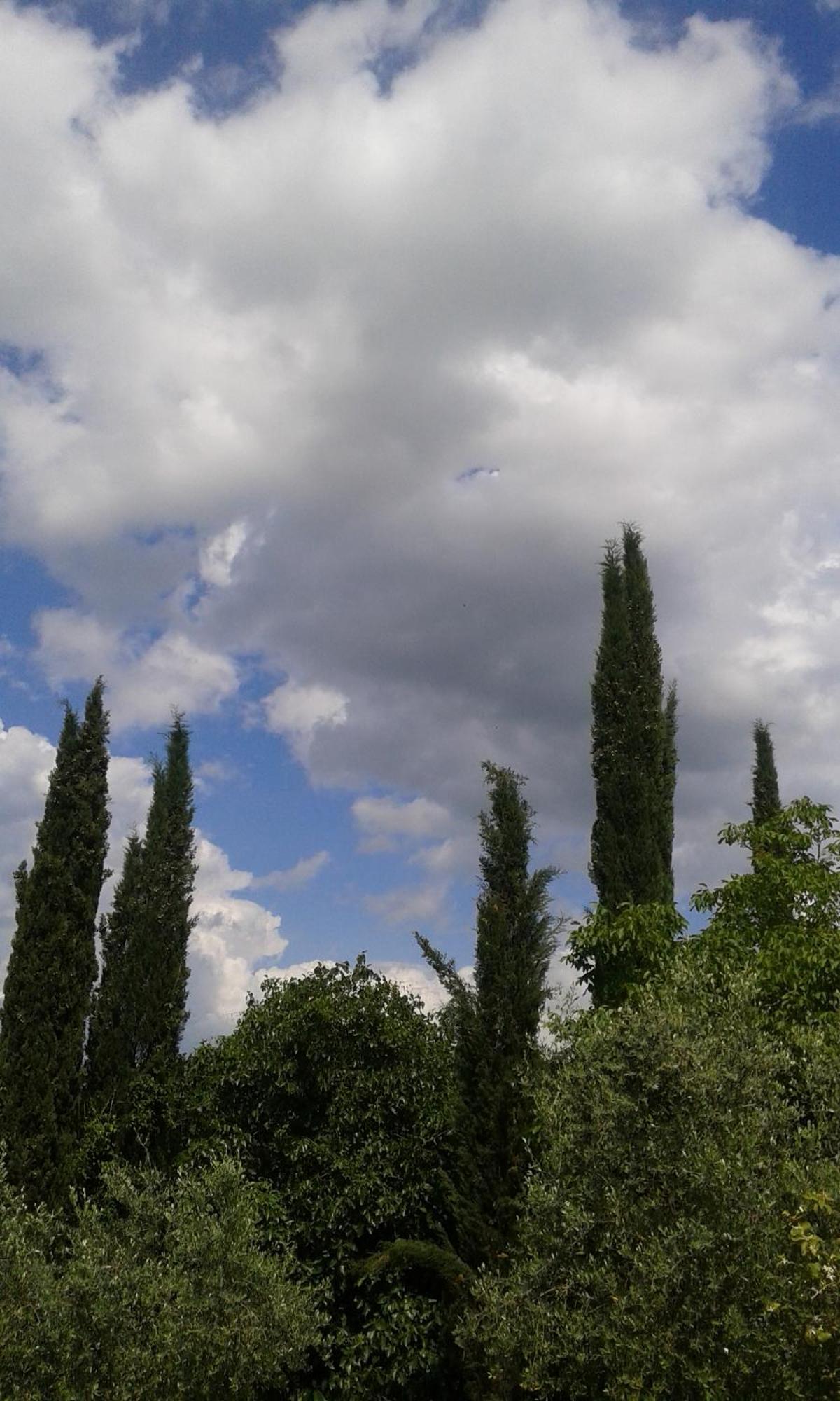 Tenuta Il Tresto Poggibonsi Exterior photo